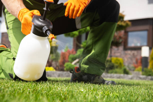 Best Wasp Removal Services  in Ahoskie, NC