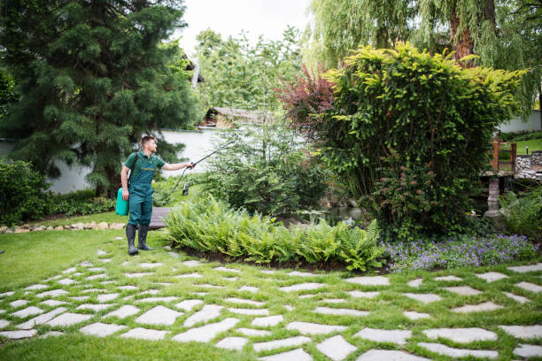 Best Pest Control for Homes  in Ahoskie, NC