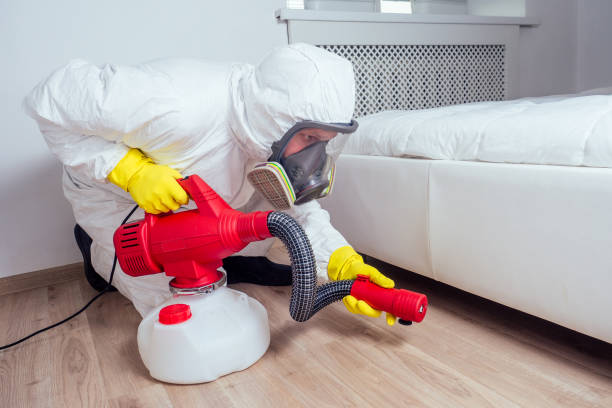 Flea Control Services in Ahoskie, NC