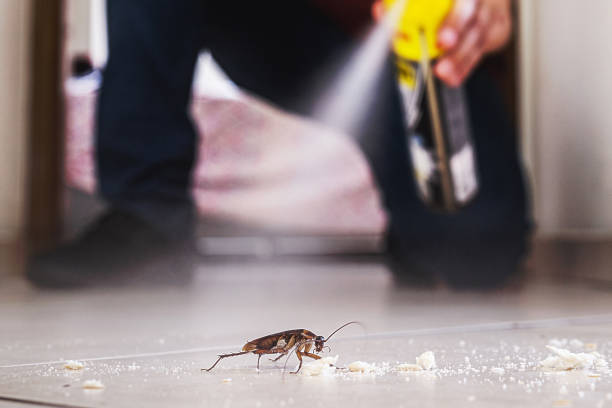 Ahoskie, NC Pest Control Company